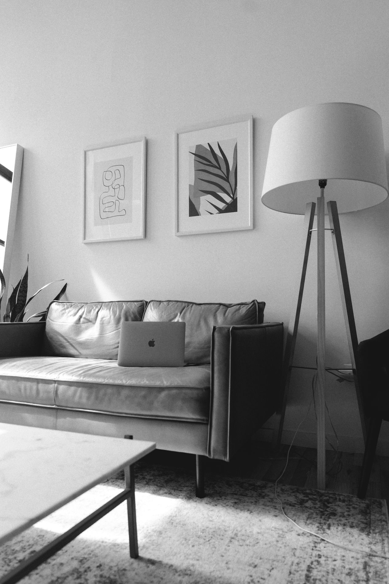 https://zyraestate.dz-consulting.cz/wp-content/uploads/2026/05/michael-oxendine-oD3-adGSEpE-unsplash-grayscale.jpg